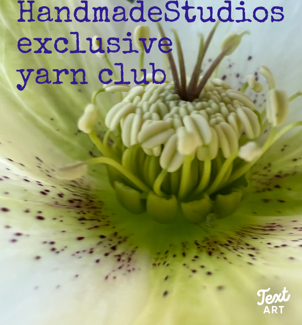 Join Handmade Studios exclusive yarn club. Three month subscription. £25 billed monthly.